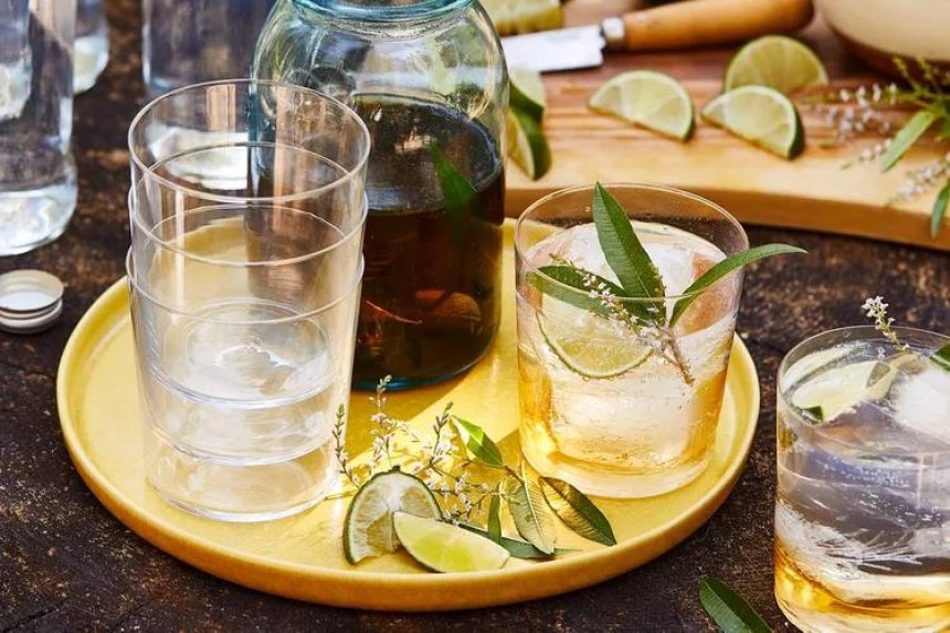 Verbena-Infused Tequila and Tonic