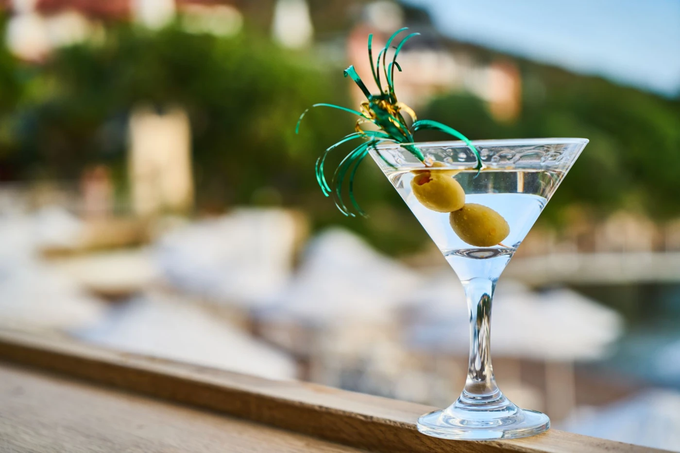 Best 22 gins every martini lover should try cocktail served in glass with ice