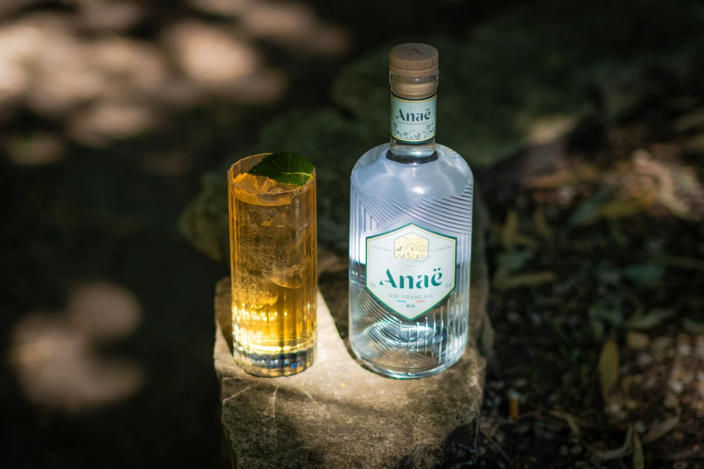 Amaro and Fernet cocktail cocktail served in a cocktail glass