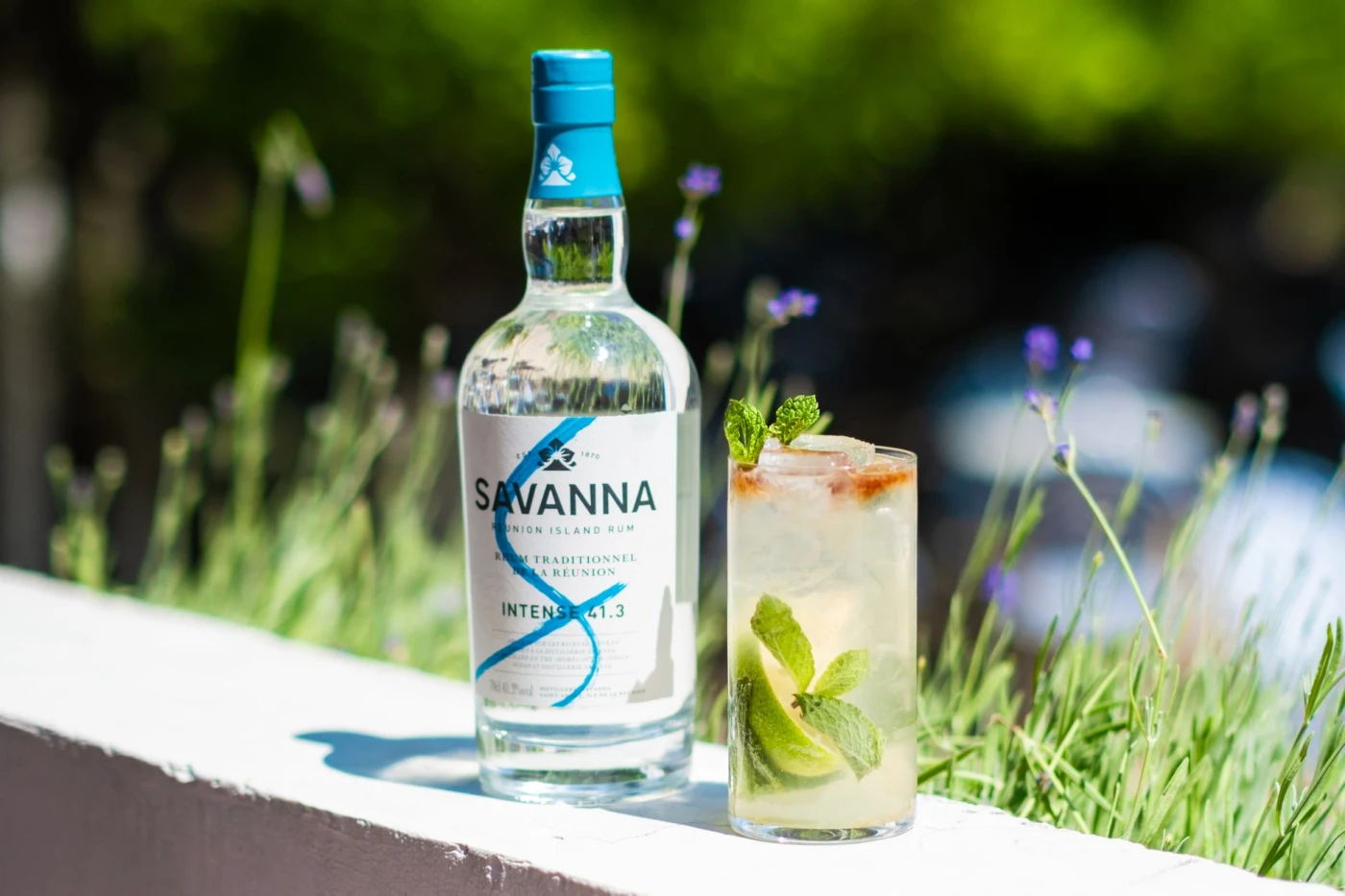 Cornish Rum Mojito cocktail in a highball — rum drink photography
