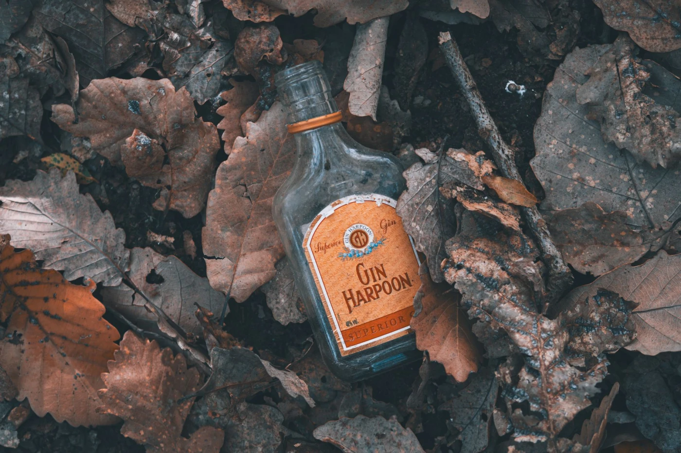 How Gin Is Made cocktail in a cocktail glass — gin drink photography