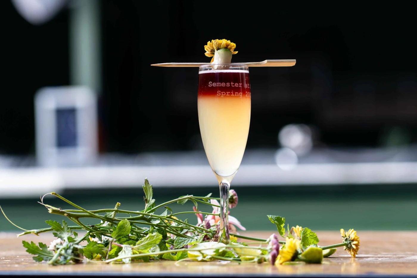Second Line Season cocktail in a cocktail glass