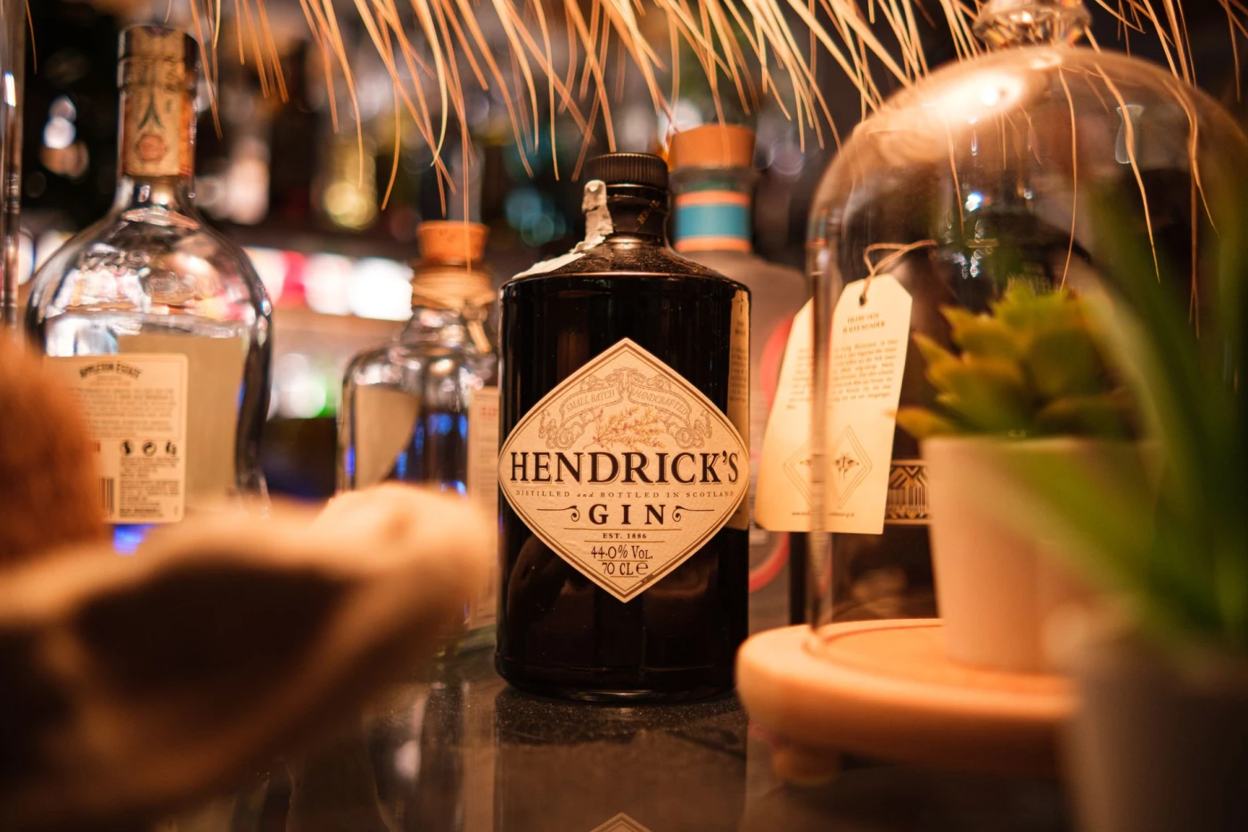 Types of Gin Explained: Hendrick's gin bottle on display at a cozy bar, surrounded by decor and glassware.